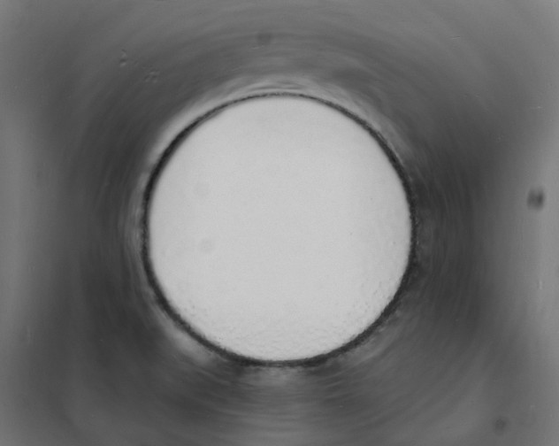 X0000101691519200808071121