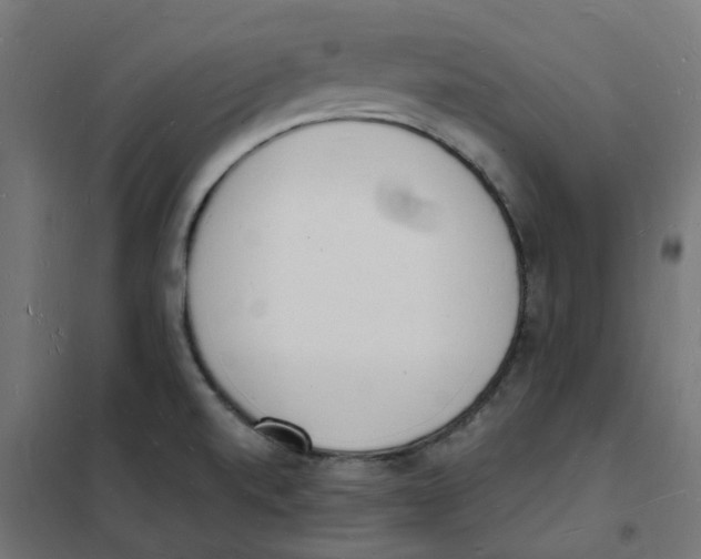 X0000101691520200808071121