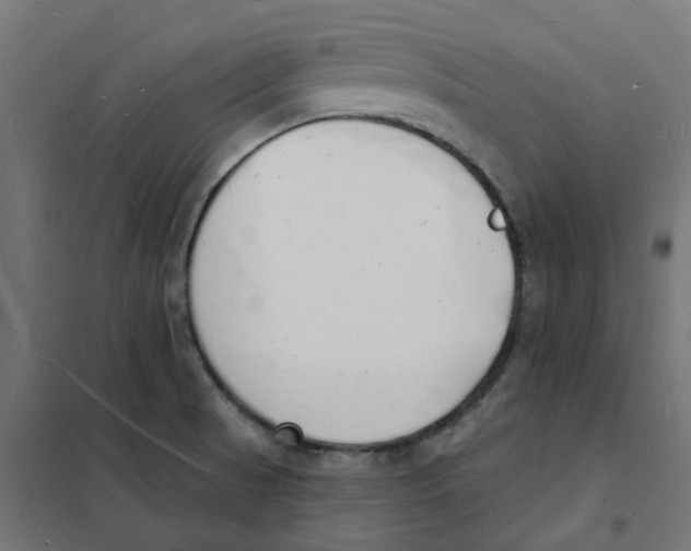 X0000101691521200808071121