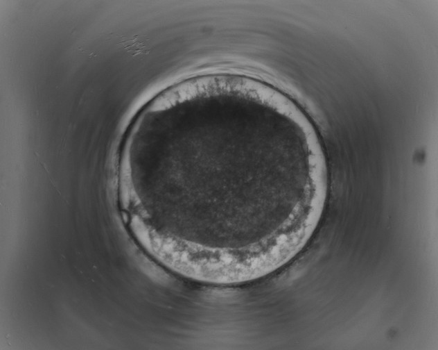 X0000101691522200808071121