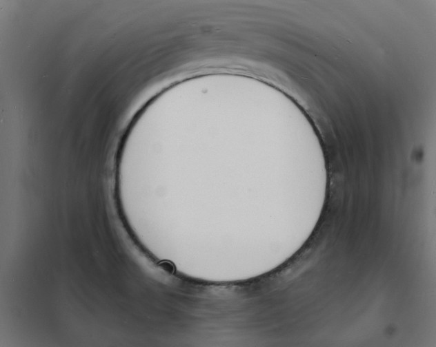 X0000101691523200808071121