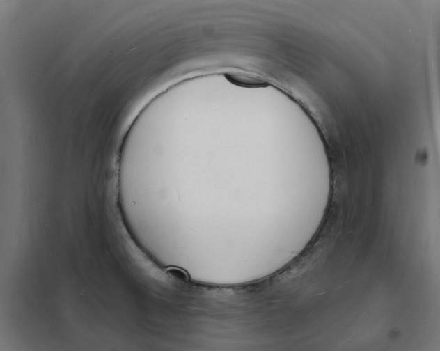 X0000101691524200808071121