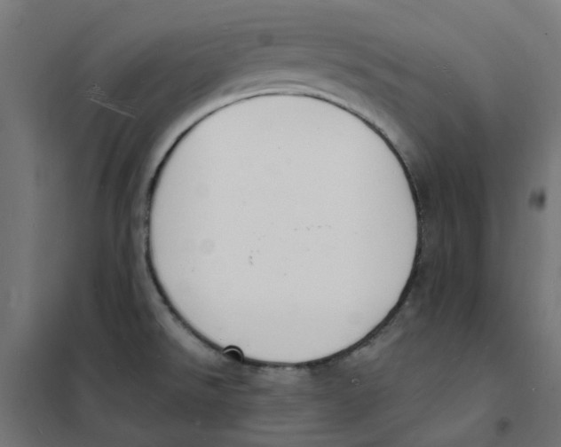 X0000101691526200808071121