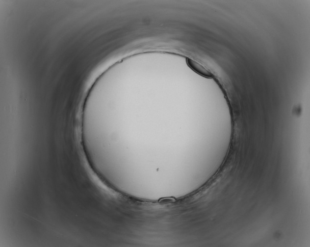 X0000101691528200808071121