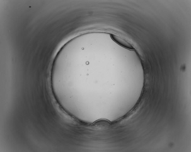 X0000101691530200808071121