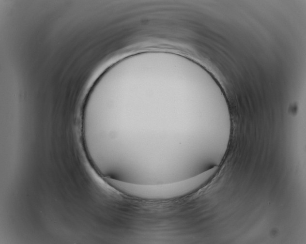 X0000101691531200808071121