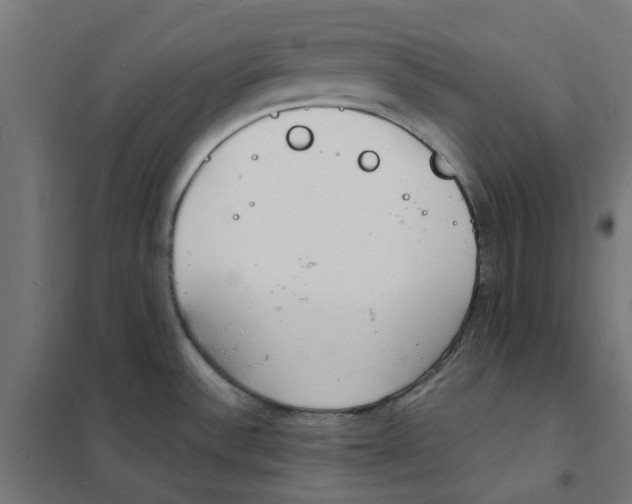 X0000101691532200808071121