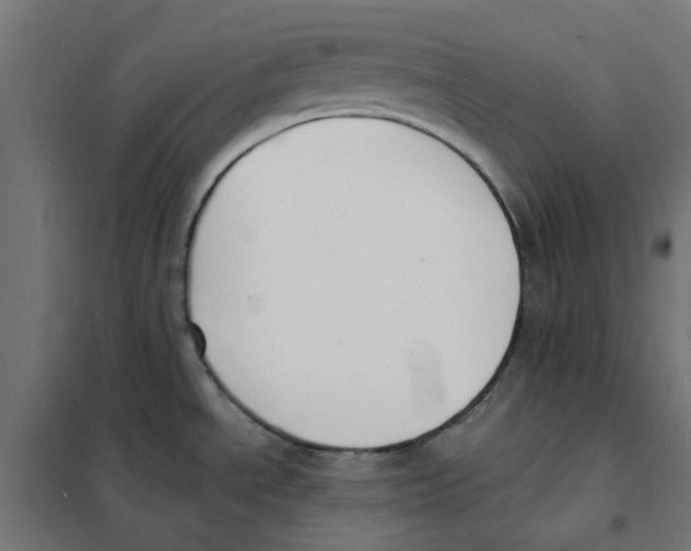 X0000101691534200808071121