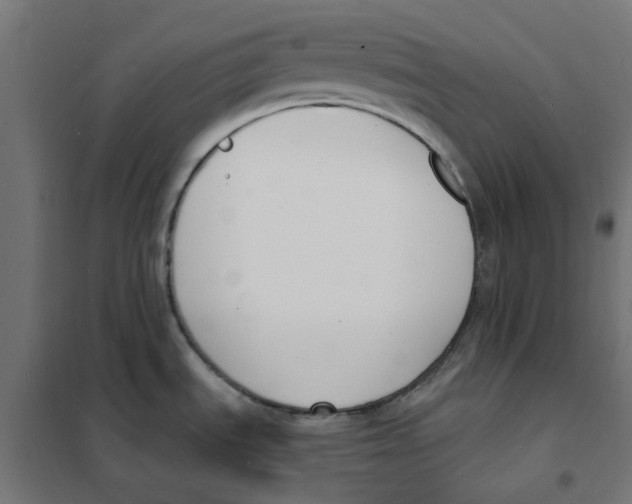 X0000101691535200808071121