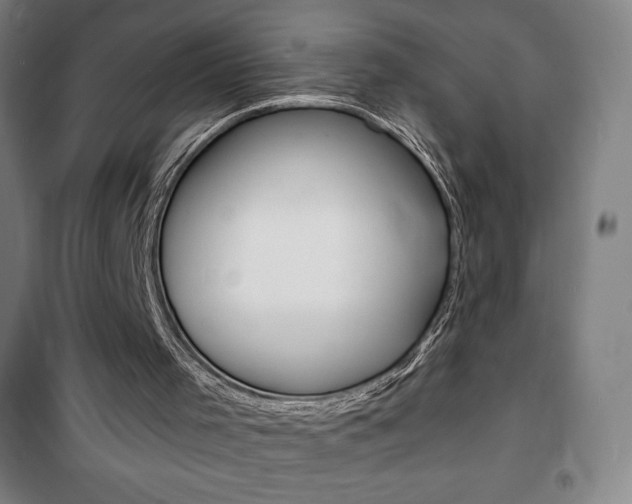 X0000101700001200807101356
