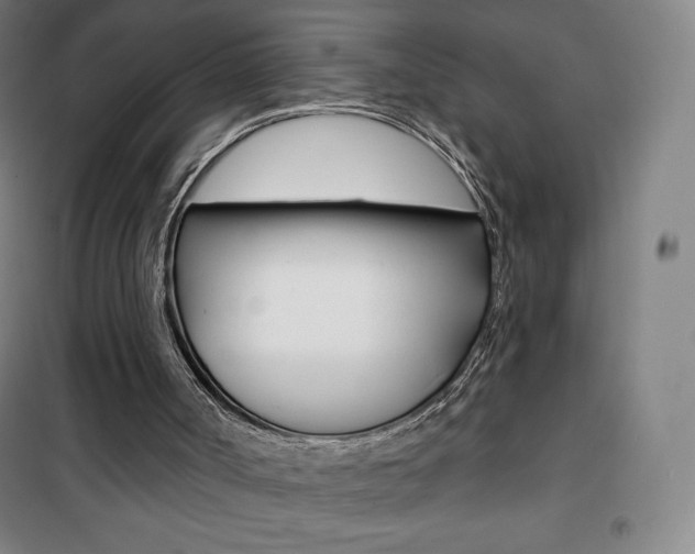 X0000101700002200807101356