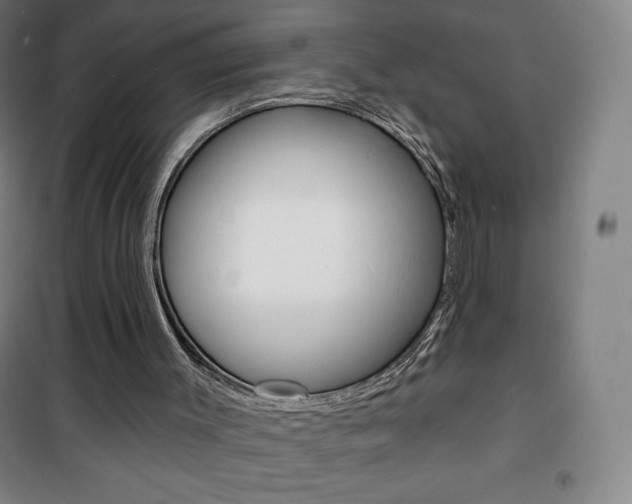 X0000101700003200807101356