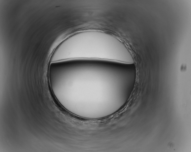X0000101700004200807101356