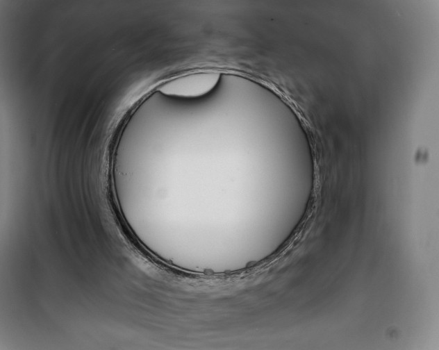 X0000101700005200807101356