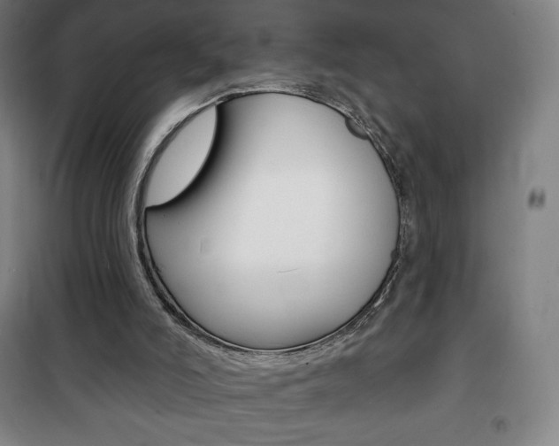 X0000101700006200807101356