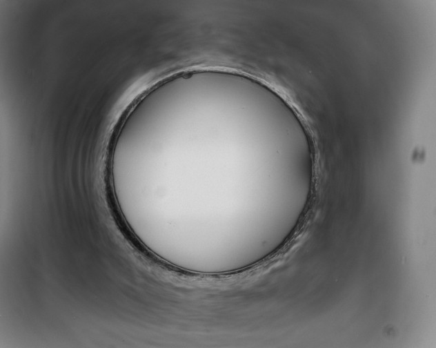 X0000101700007200807101356