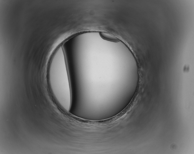 X0000101700008200807101356