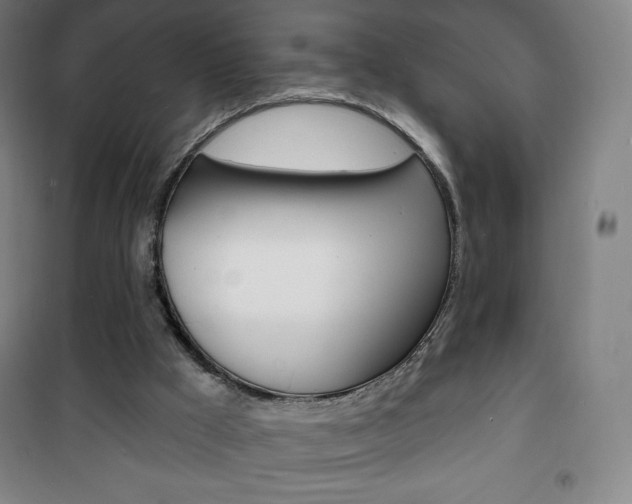 X0000101700009200807101356