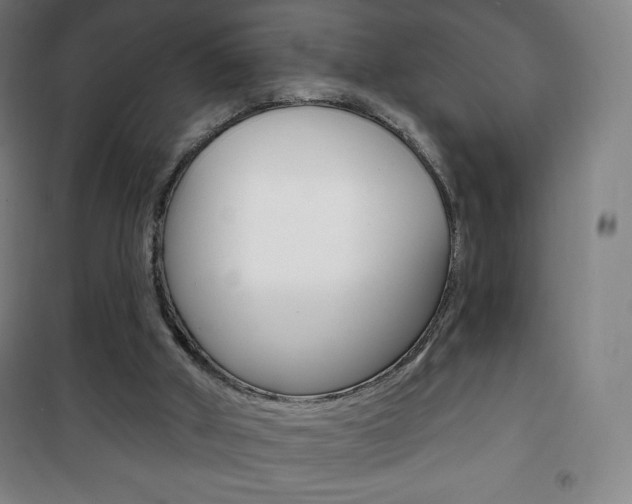 X0000101700010200807101356