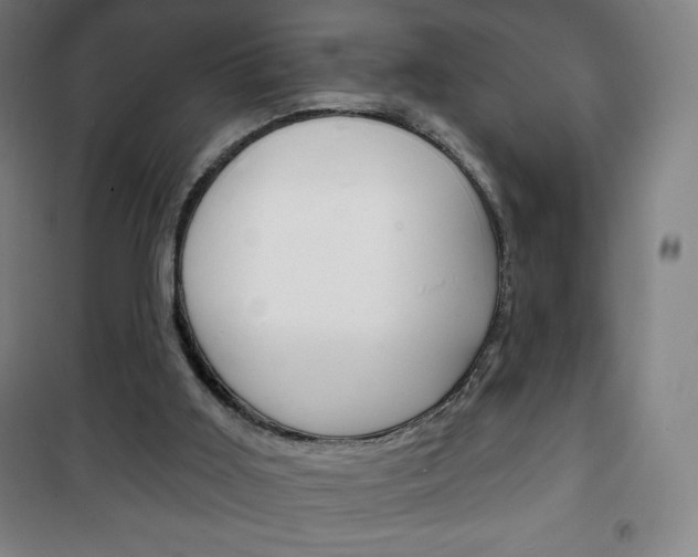 X0000101700011200807101356