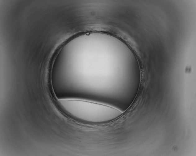 X0000101700012200807101356