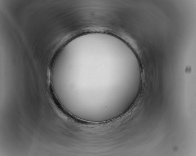X0000101700013200807101356
