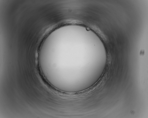 X0000101700014200807101356