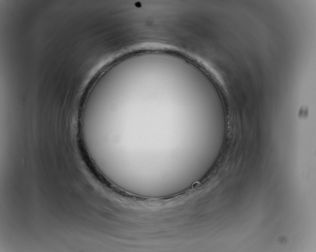 X0000101700015200807101356