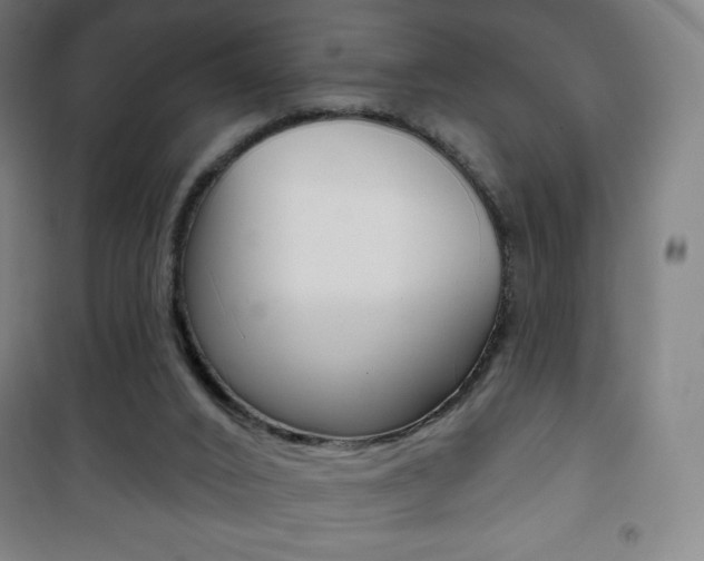 X0000101700016200807101356