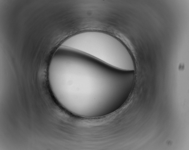 X0000101700017200807101356