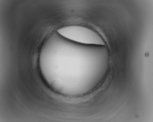 X0000101700018200807101356