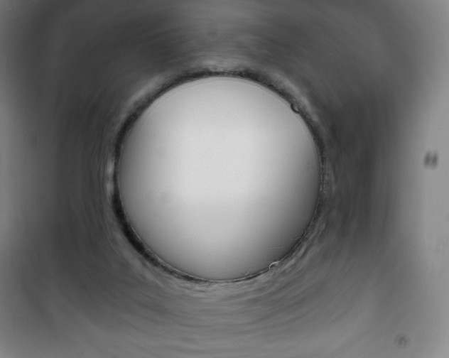 X0000101700019200807101356