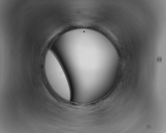 X0000101700020200807101356