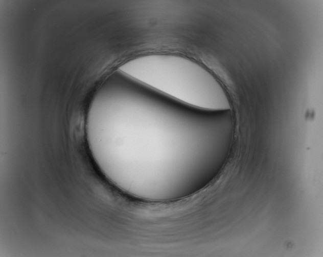 X0000101700021200807101356