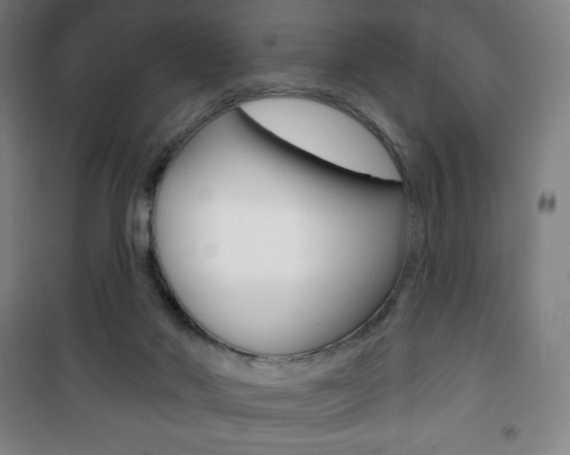 X0000101700022200807101356