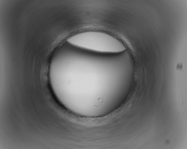 X0000101700023200807101356