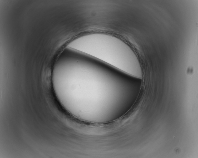 X0000101700024200807101356