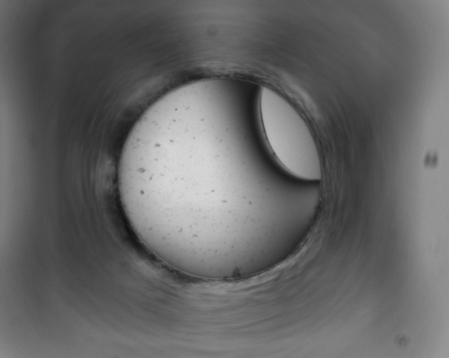 X0000101700025200807101356