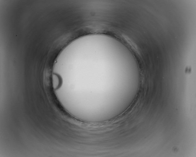 X0000101700026200807101356