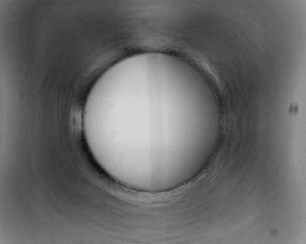 X0000101700027200807101356
