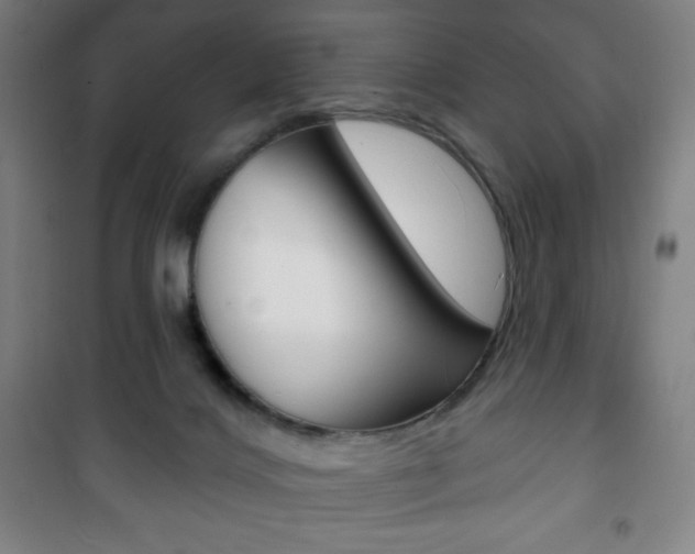 X0000101700028200807101356