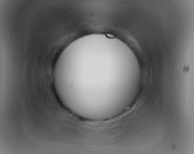 X0000101700029200807101356