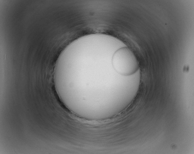 X0000101700030200807101356