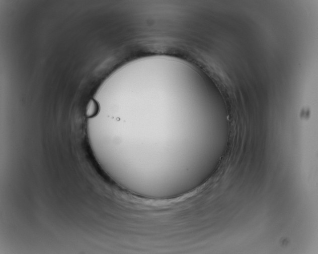 X0000101700031200807101356