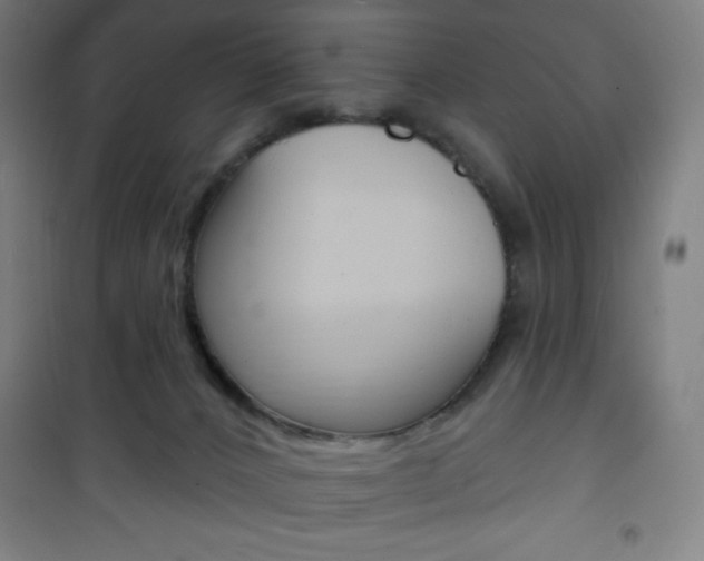 X0000101700032200807101356