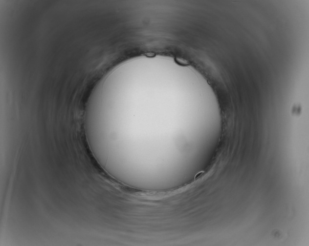X0000101700033200807101356