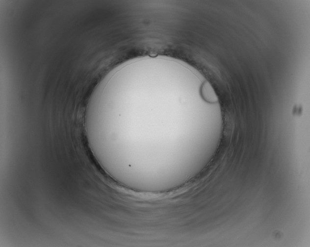 X0000101700034200807101356
