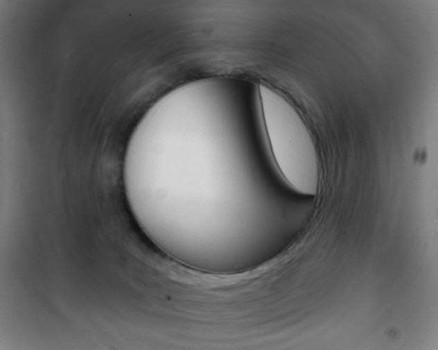 X0000101700035200807101356