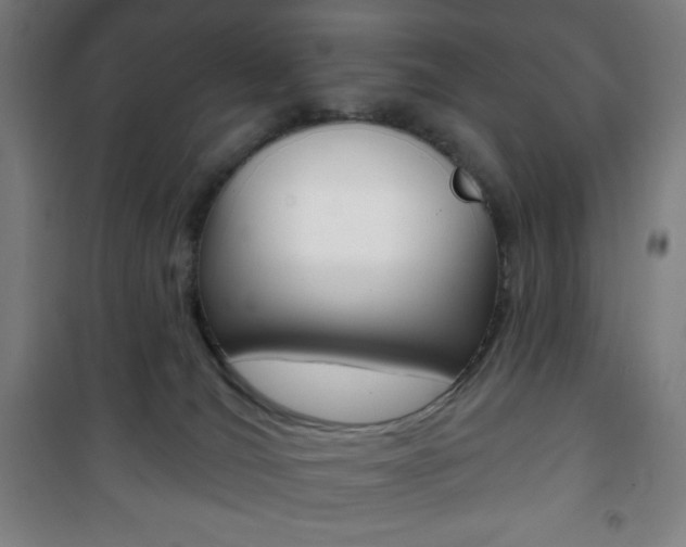 X0000101700036200807101356