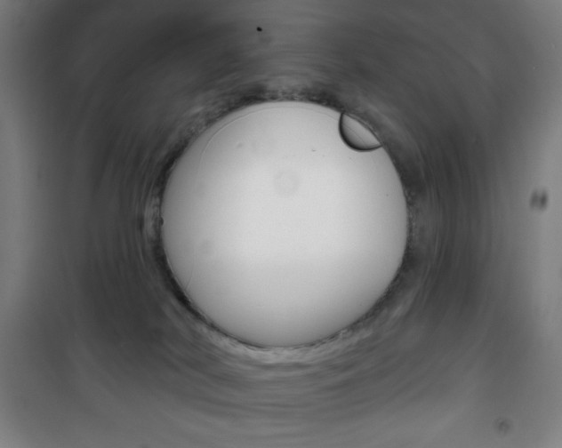 X0000101700038200807101356